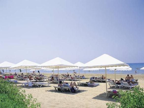 Acanthus Cennet Barut Collection 14
