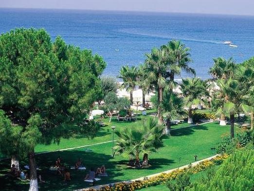 Acanthus Cennet Barut Collection 20