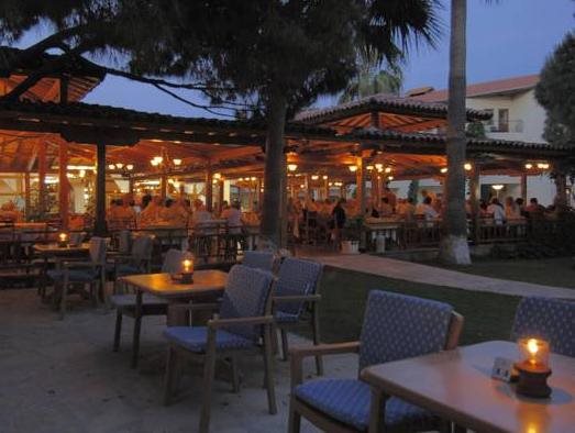 Acanthus Cennet Barut Collection 8