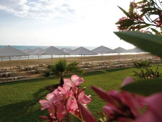 Acanthus Cennet Barut Collection 9