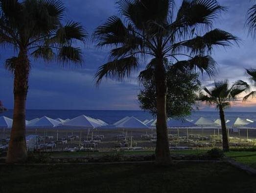 Acanthus Cennet Barut Collection 12