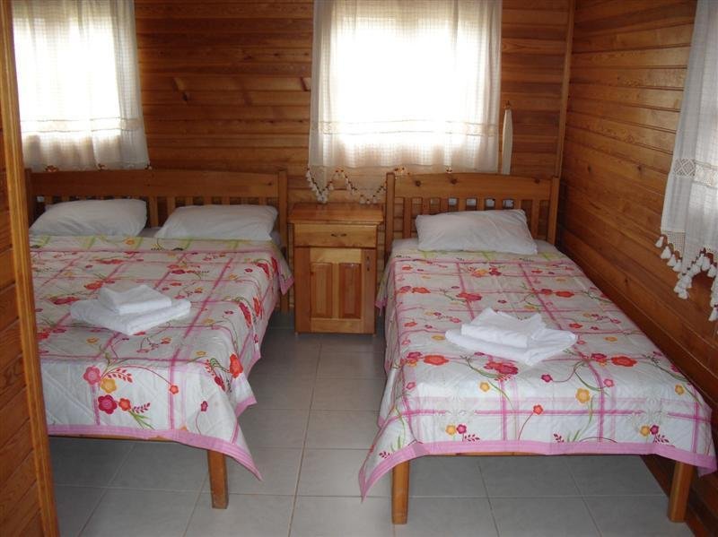 Portakal Bahçesi 23