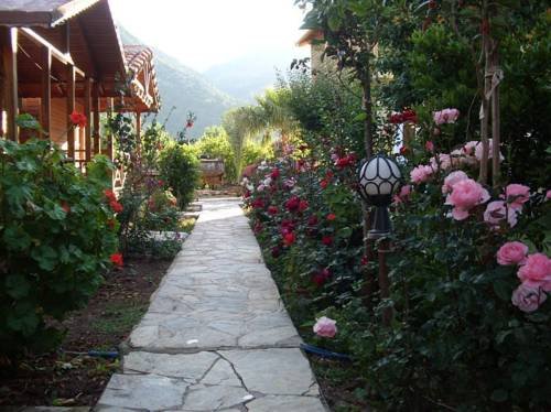 Portakal Bahçesi 2