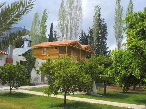 Portakal Bahçesi 1