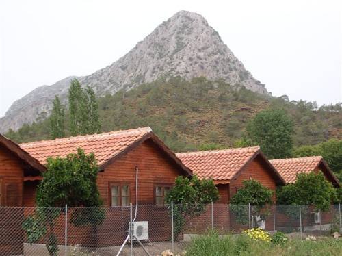 Portakal Bahçesi 19