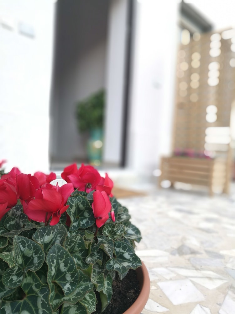 B&B Da Francesco 4