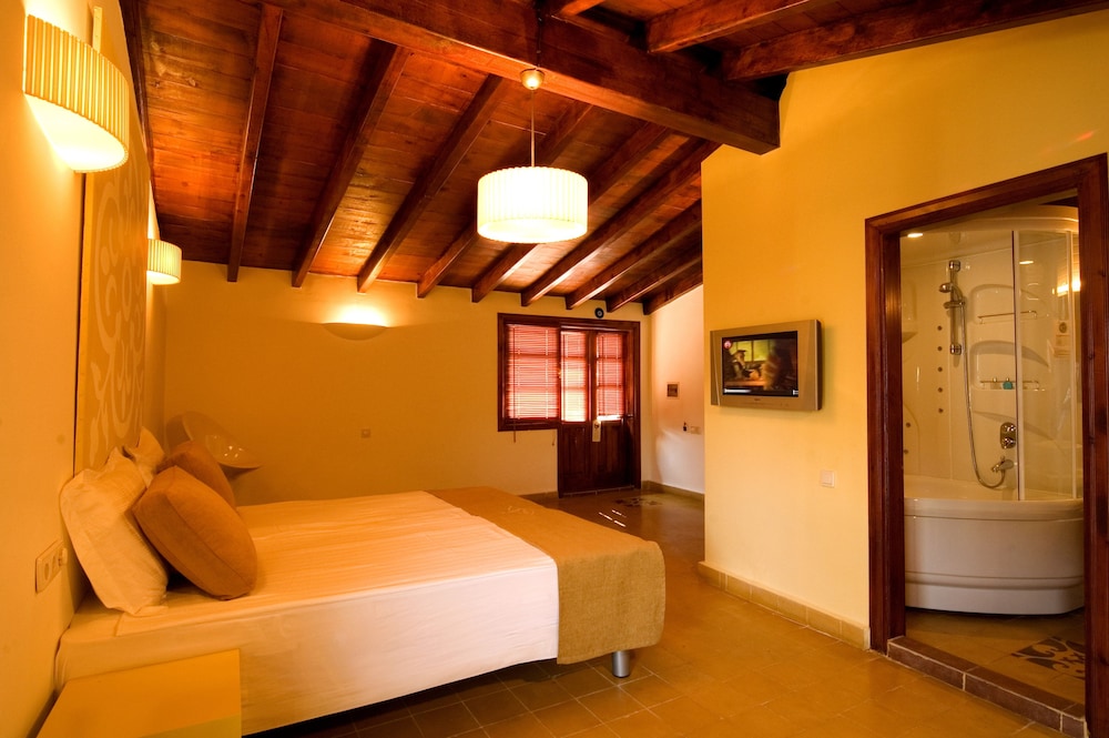 Alp Pasa Hotel 3