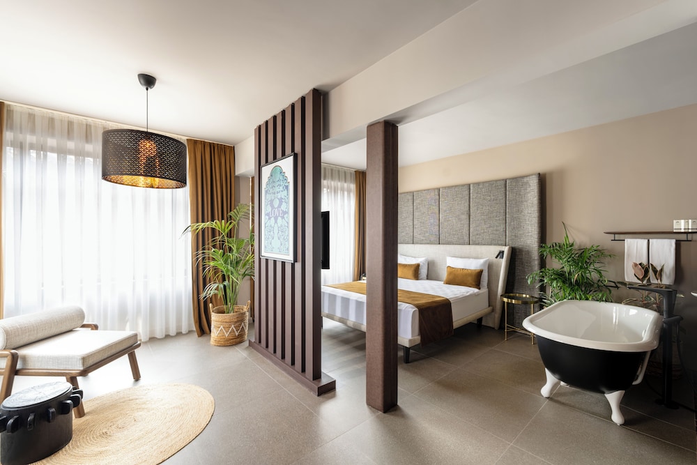 Alp Pasa Hotel 1