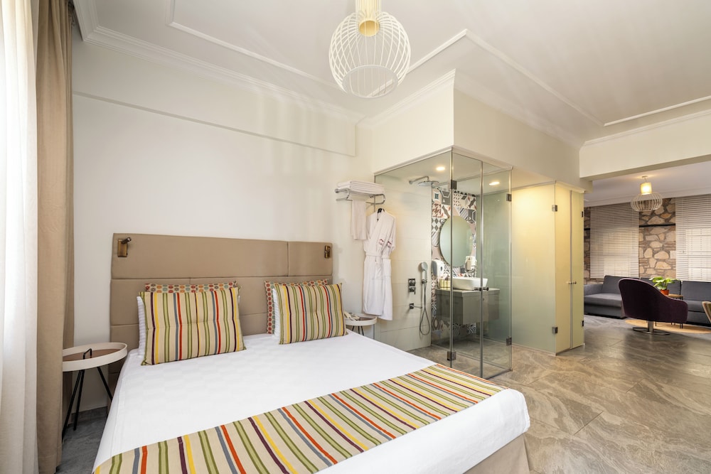 Alp Pasa Hotel 13