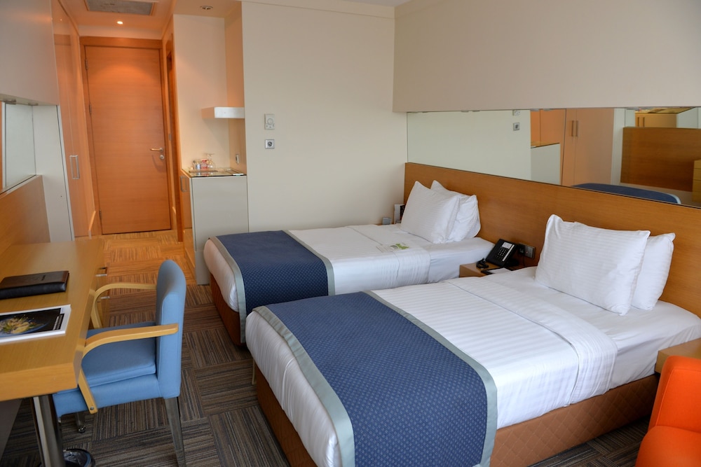 Dedeman Istanbul 18