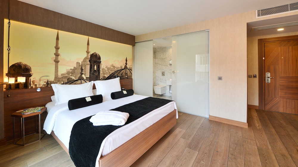 Hotel Saint Sophia Istanbul 9