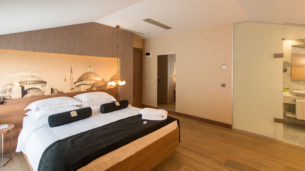 Hotel Saint Sophia Istanbul 13