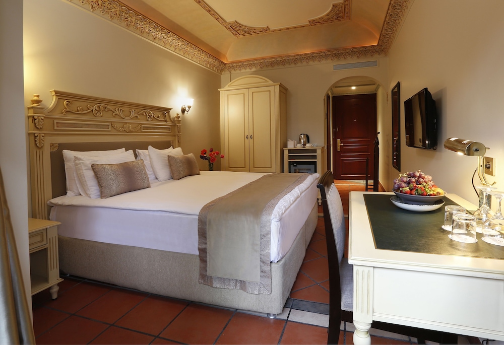 Sultanahmet Palace Hotel 14