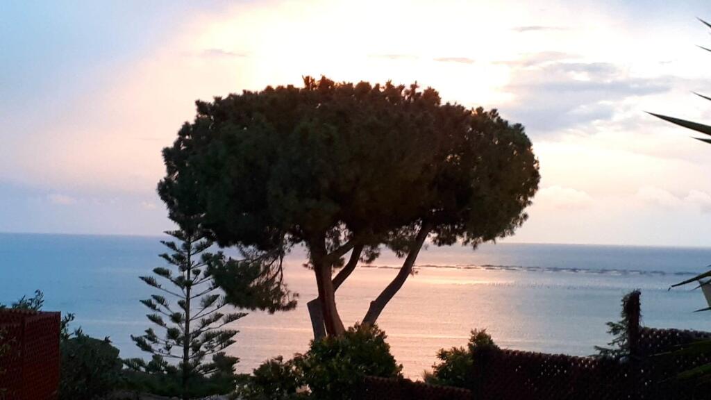 Villa Olga B&B 15