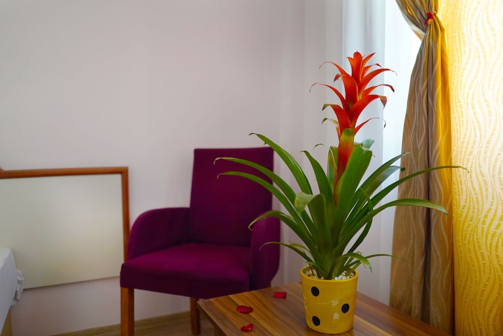 Ergün Hotel 23
