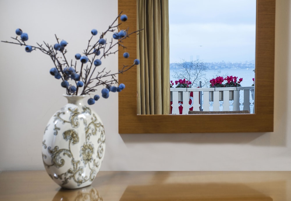 Radisson Hotel Istanbul Sultanahmet 13