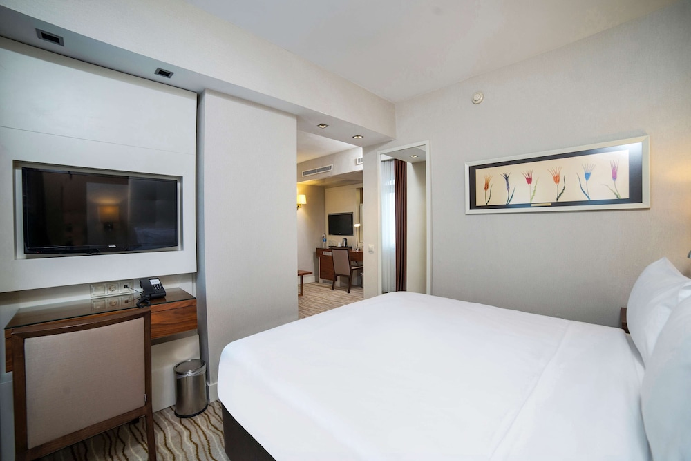 Radisson Hotel Istanbul Sultanahmet 19