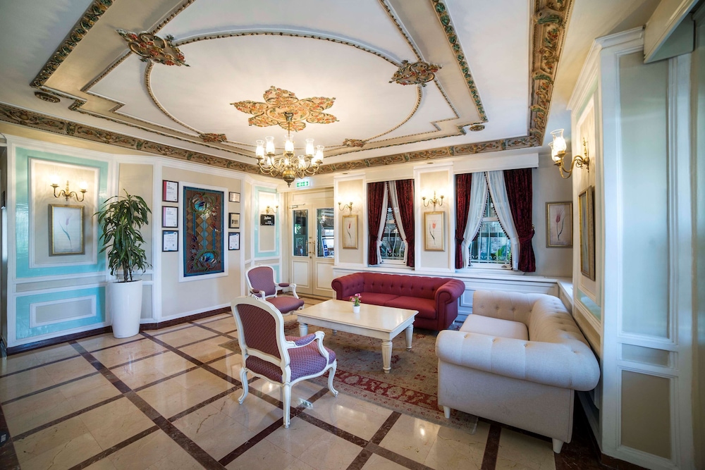 Radisson Hotel Istanbul Sultanahmet 8