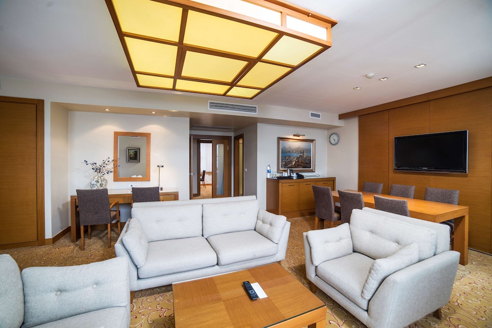 Radisson Hotel Istanbul Sultanahmet 17