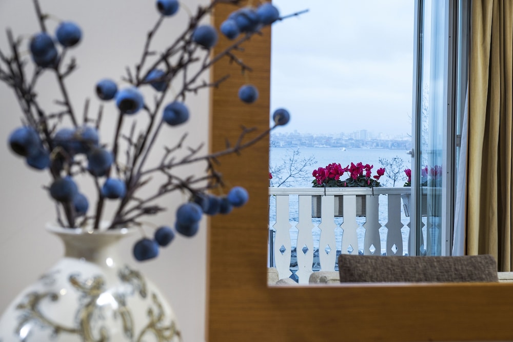 Radisson Hotel Istanbul Sultanahmet 14