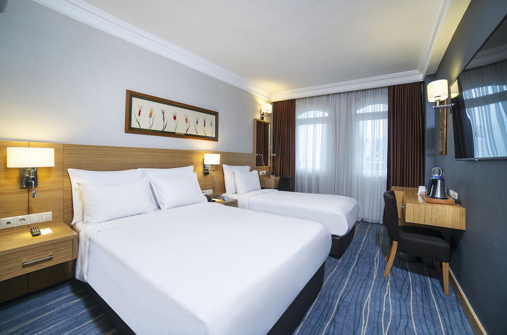 Radisson Hotel Istanbul Sultanahmet 9