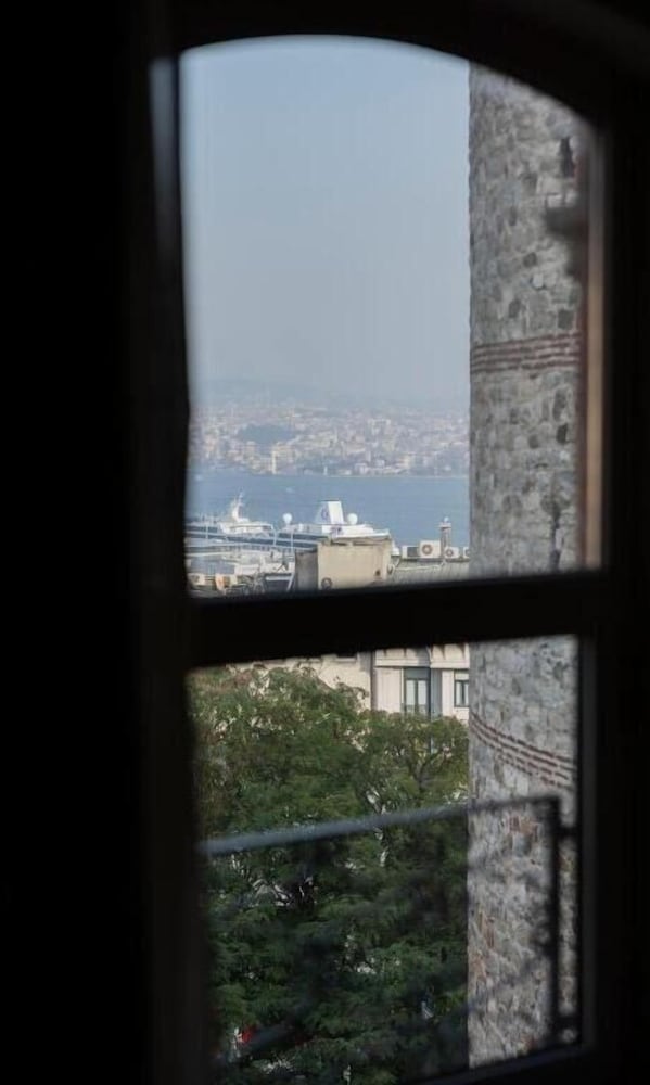 Anemon Galata 6
