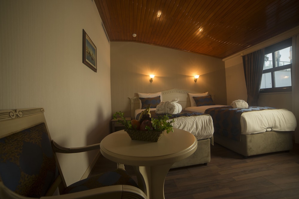 Sarnic Hotel & Sarnic Premier Hotel Ottoman Mansion 14