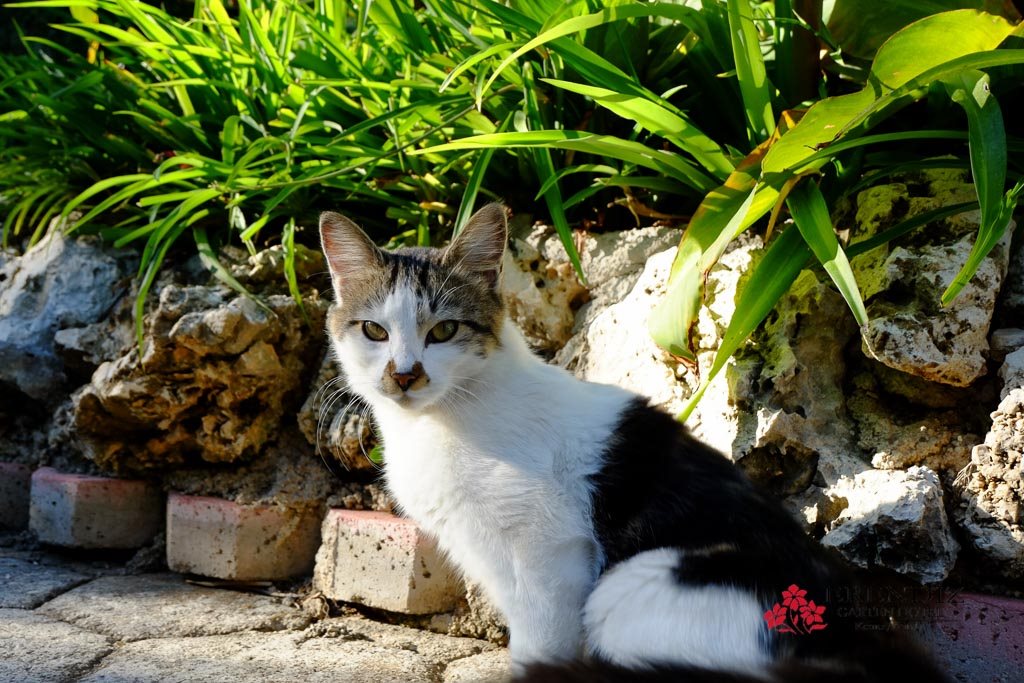 Erendiz Garden Hotel 20