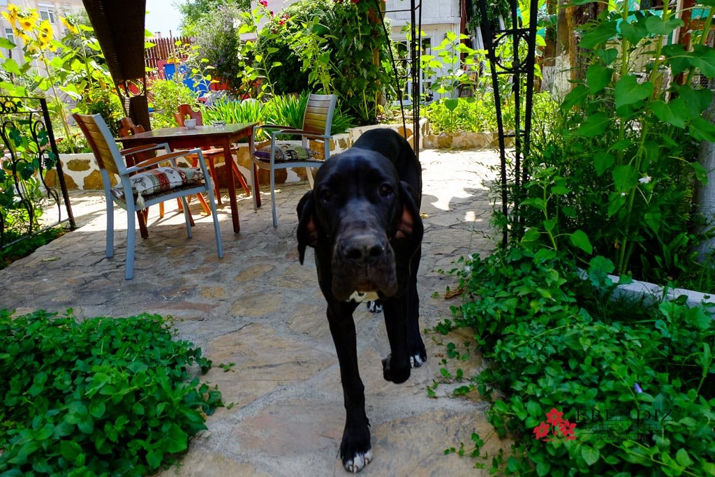 Erendiz Garden Hotel 21