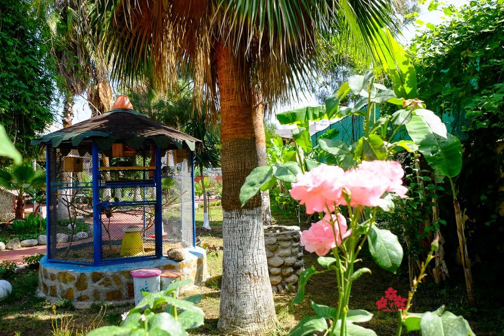Erendiz Garden Hotel 8
