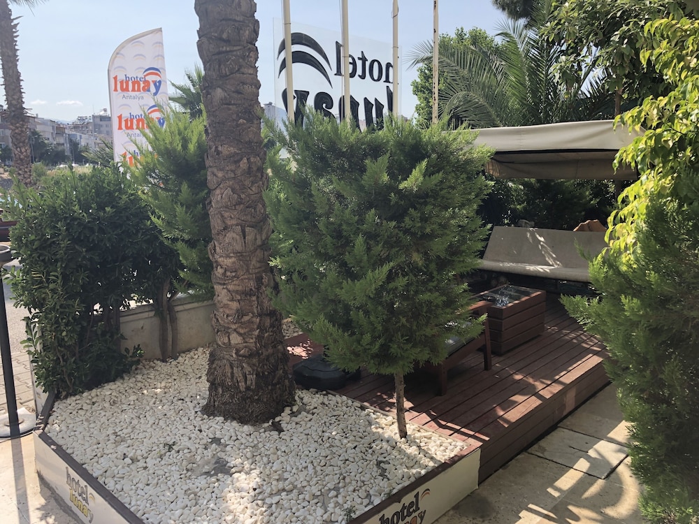Lunay 19