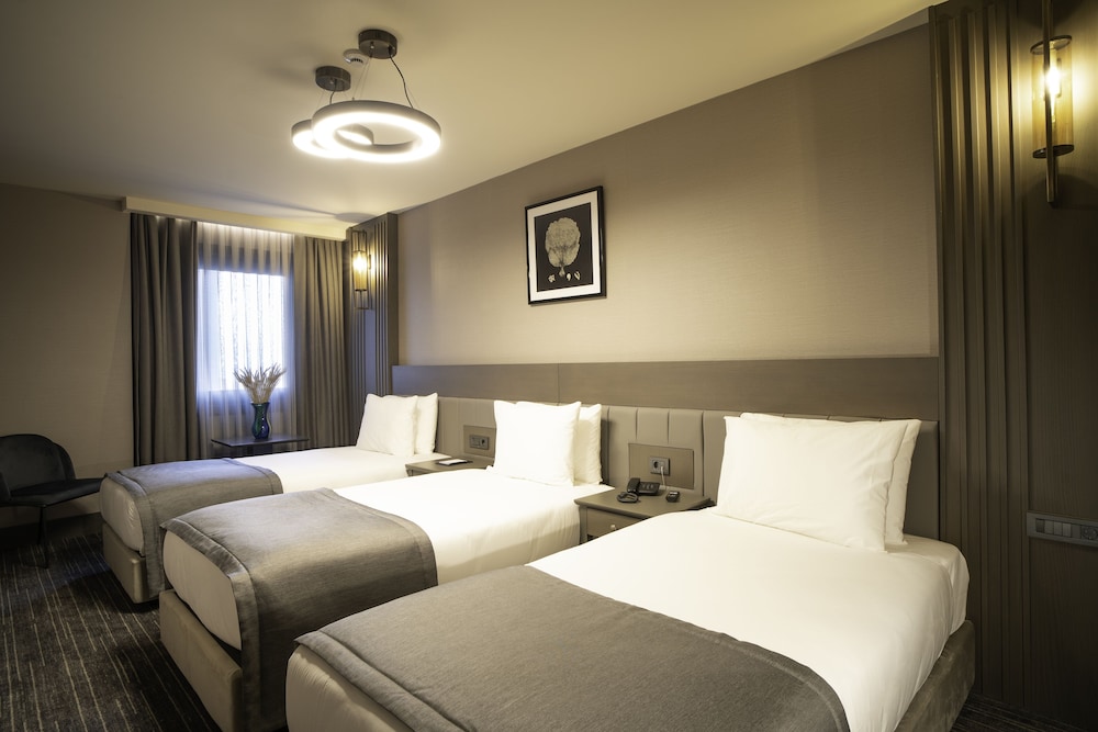 Arts Hotel Taksim 15