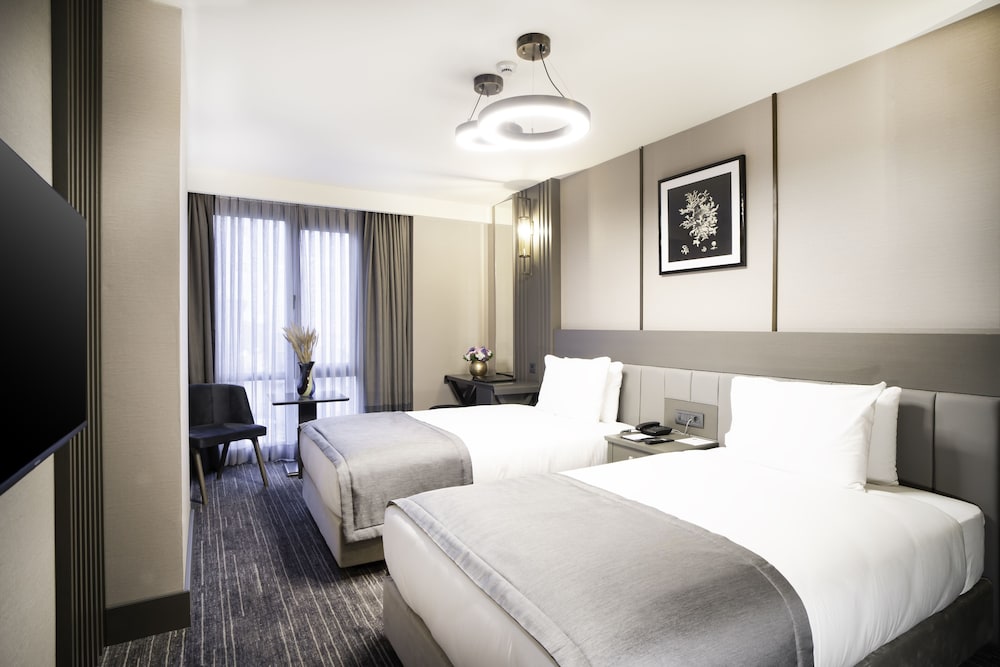 Arts Hotel Taksim 14