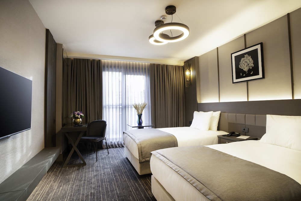 Arts Hotel Taksim 8