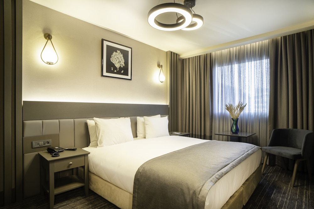 Arts Hotel Taksim 19