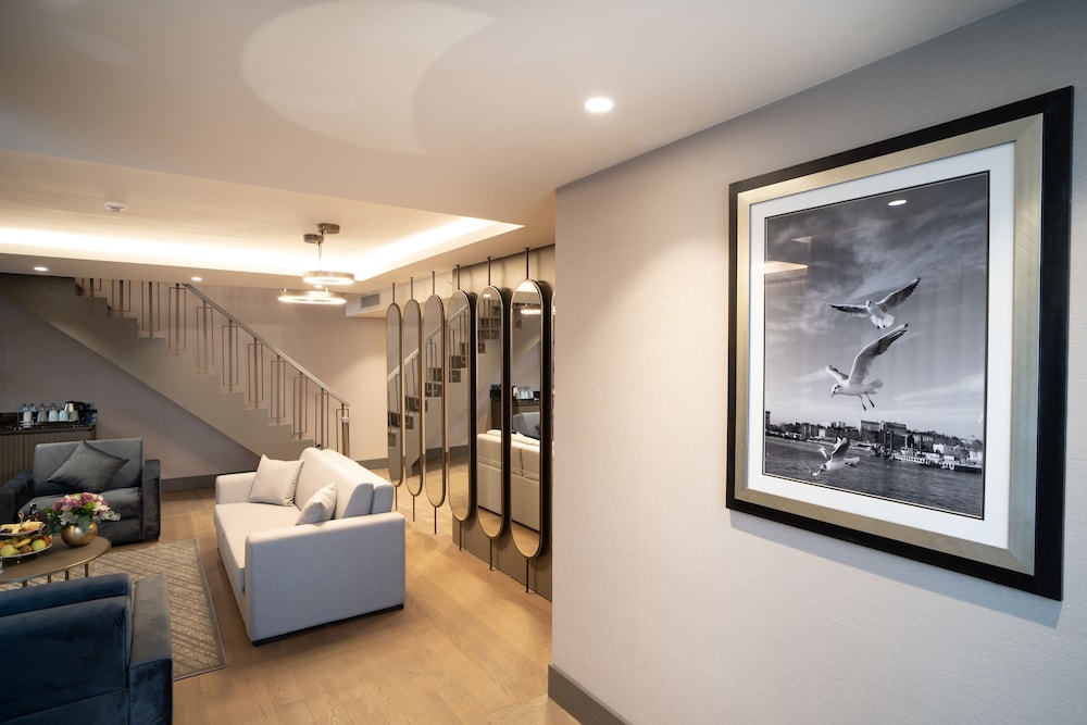 Arts Hotel Taksim 24