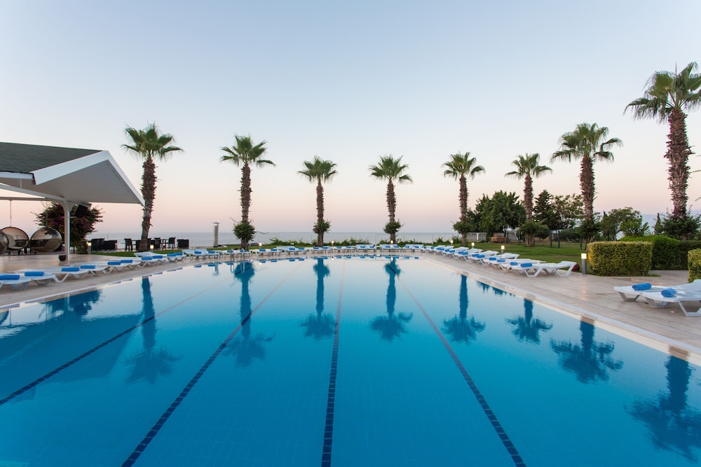 Falcon Hotel 23