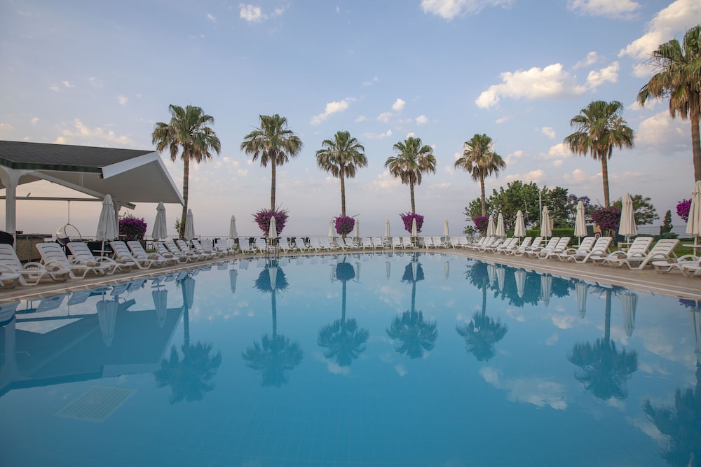 Falcon Hotel 24