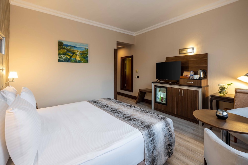 Elite Hotel Dragos 11