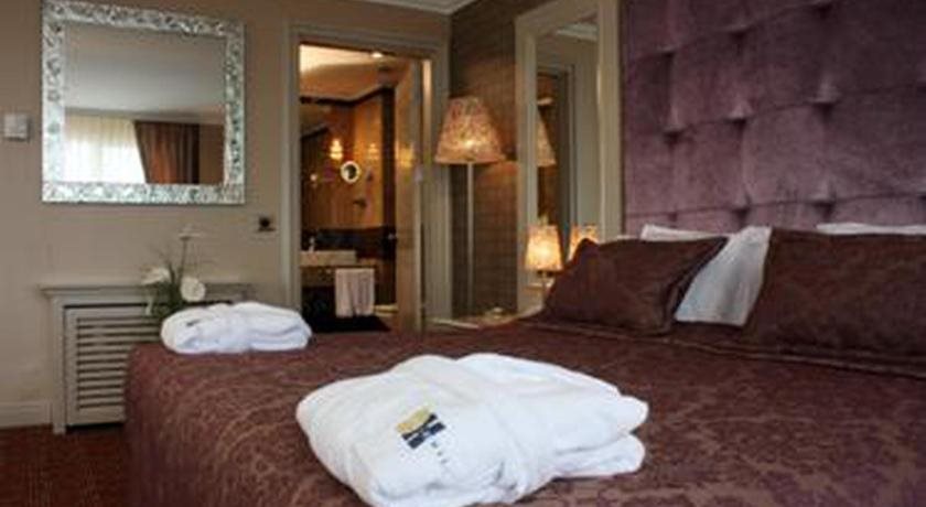 Dream Hill Business Deluxe 19