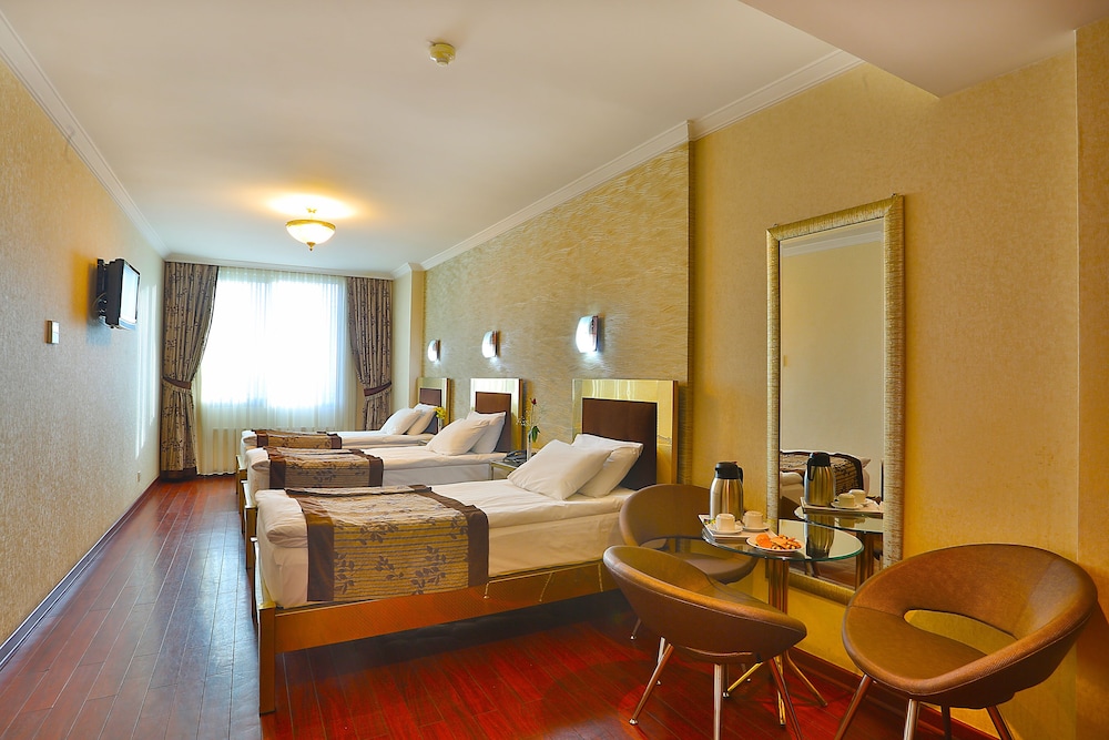 Grand Madrid Hotel 17