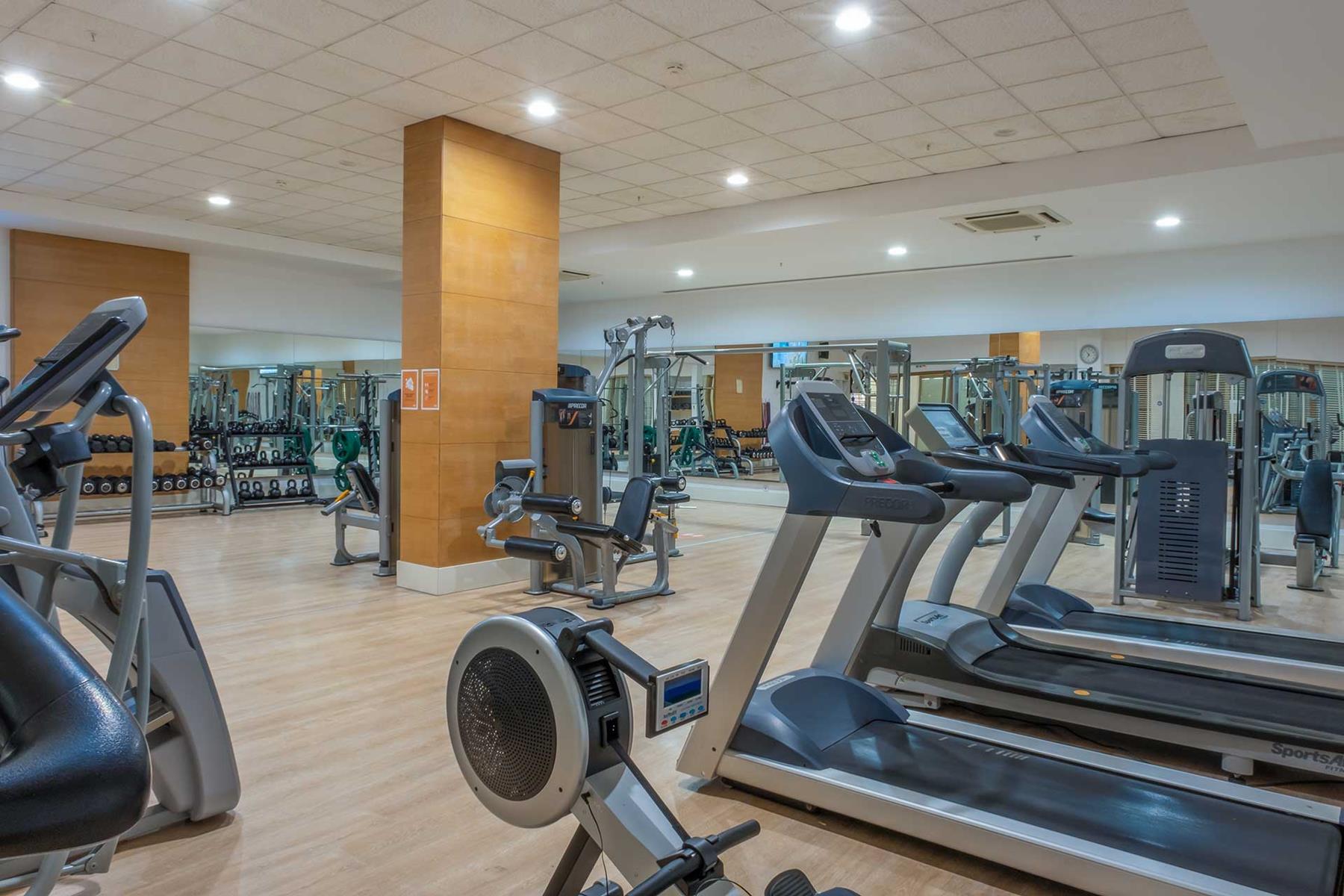 Barut GOIA 22