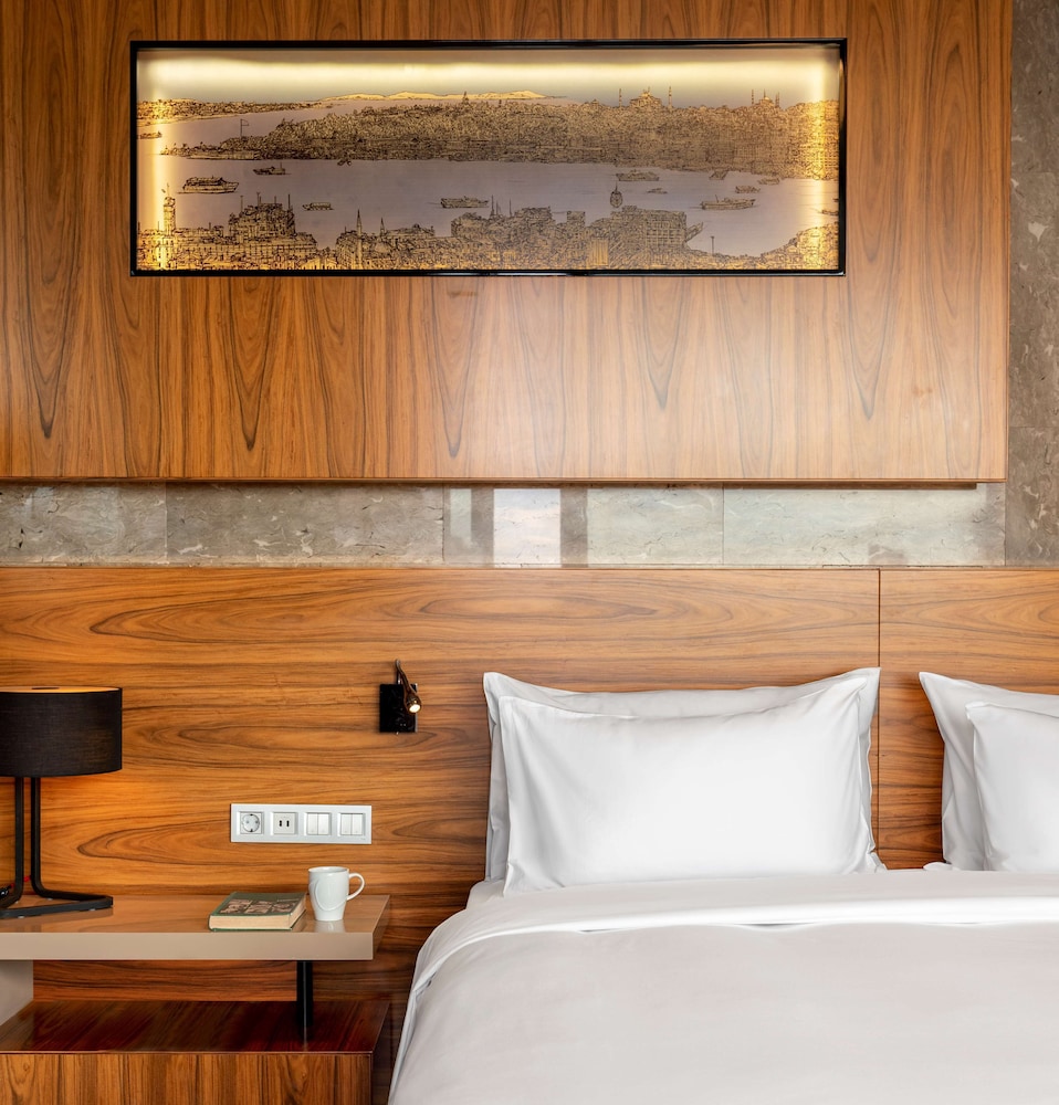 Radisson Blu Hotel Istanbul Asia 24