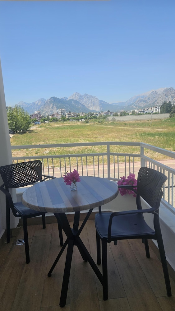 Mimoza Hotel 12
