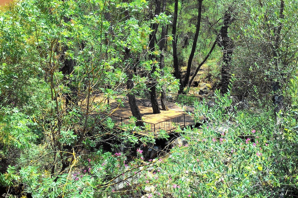 Olympos Angels Garden 18