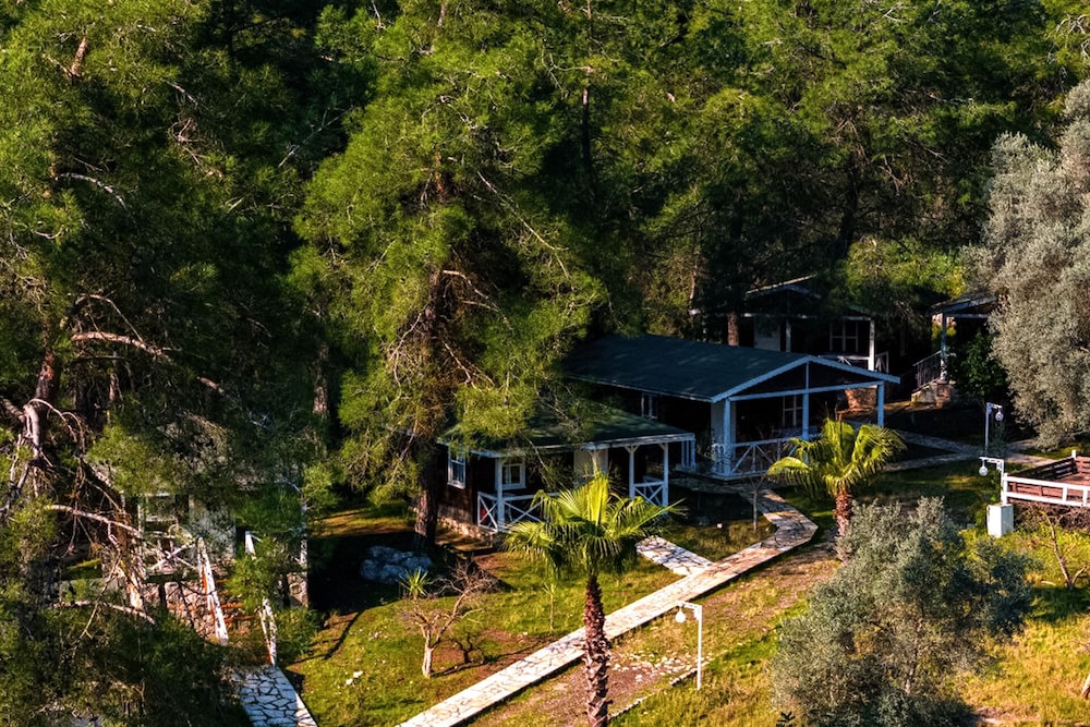 Olympos Angels Garden 19