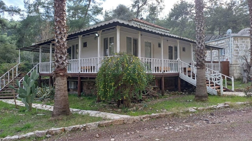 Olympos Angels Garden 9
