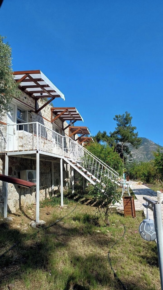 Olympos Angels Garden 8