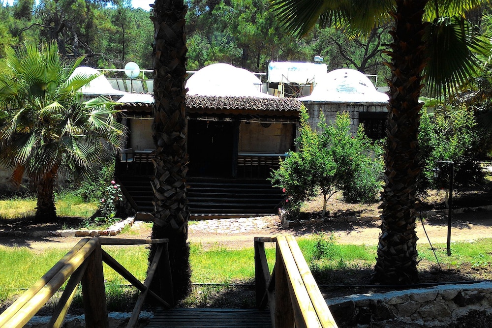 Olympos Angels Garden 13