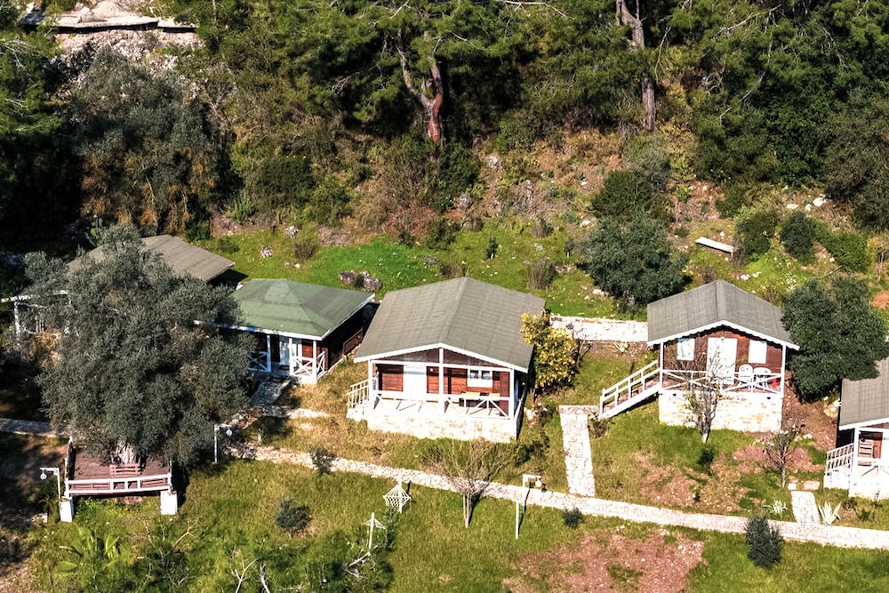 Olympos Angels Garden 24